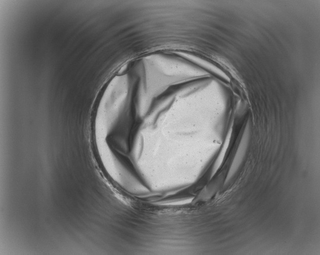 X0000074010898200609181831