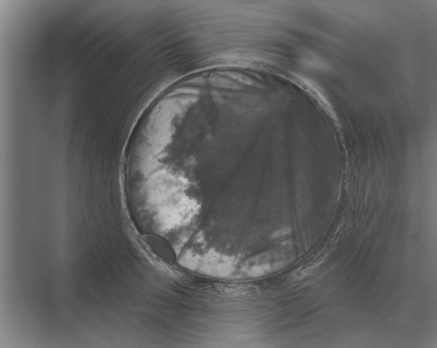 X0000074010899200609181831