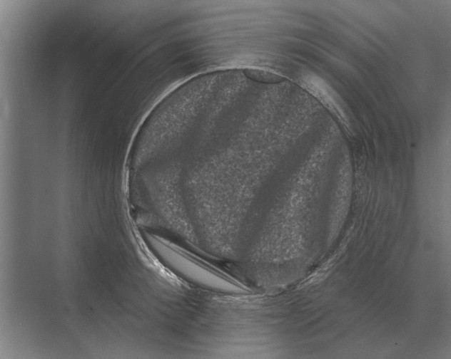 X0000074010900200609181831