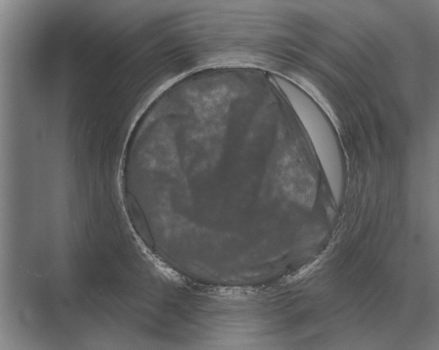 X0000074010901200609181831