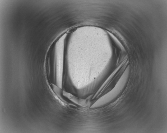 X0000074010902200609181831