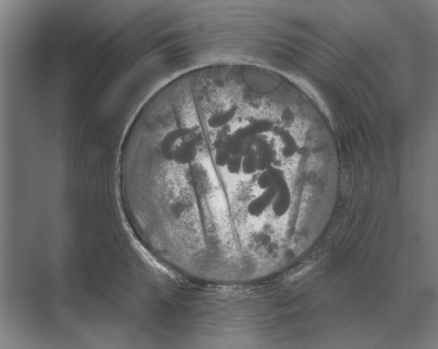 X0000074010903200609181831