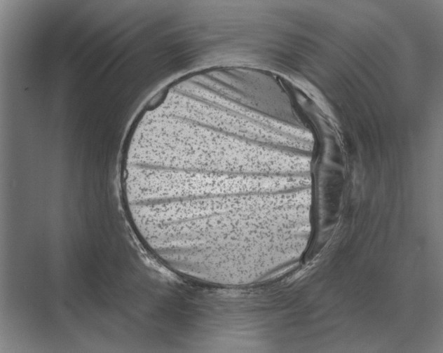 X0000074010904200609181831