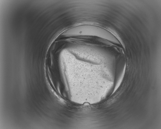 X0000074010906200609181831