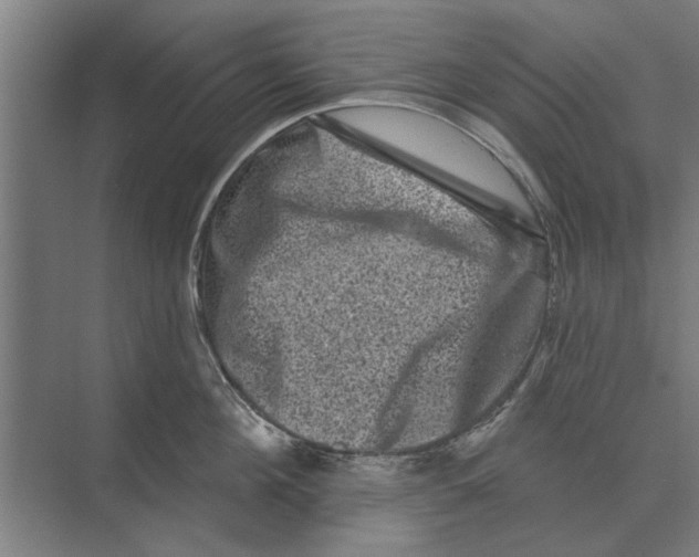 X0000074010908200609181831