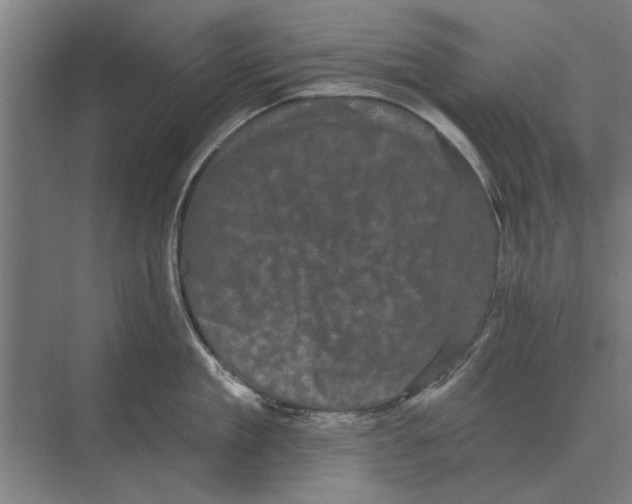 X0000074010909200609181831