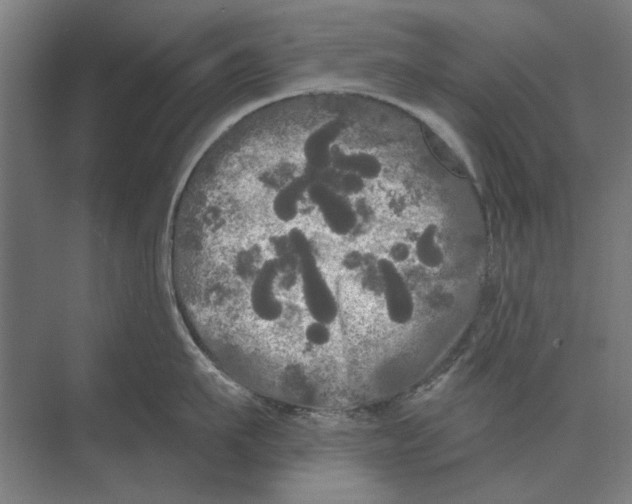 X0000074010911200609181831