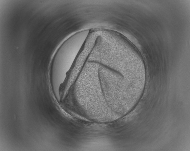 X0000074010912200609181831