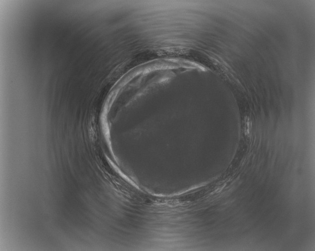 X0000074010915200609181830