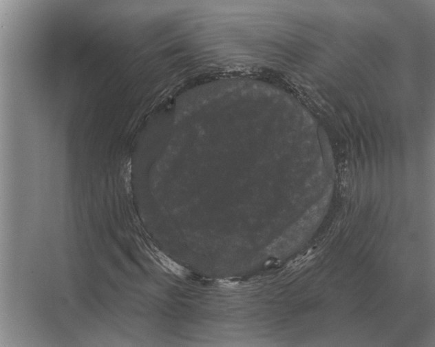 X0000074010916200609181830