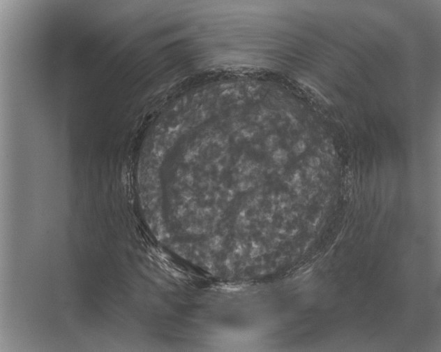 X0000074010917200609181830