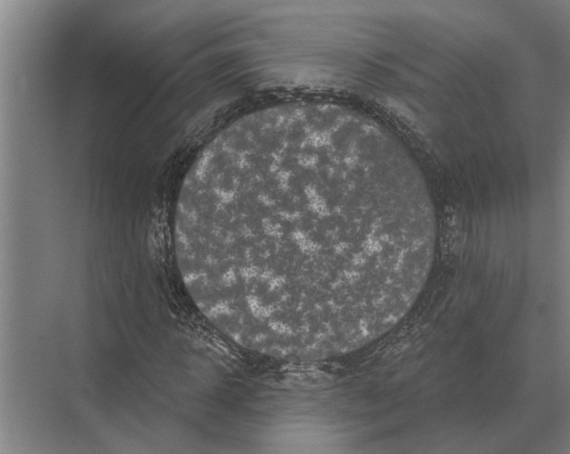 X0000074010918200609181830