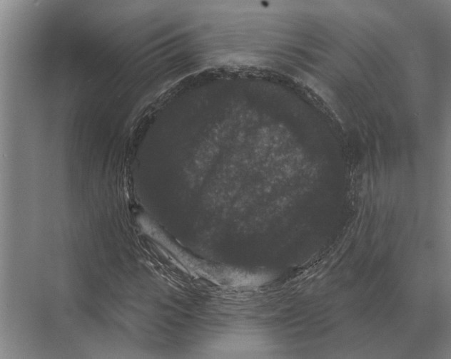 X0000074010919200609181830