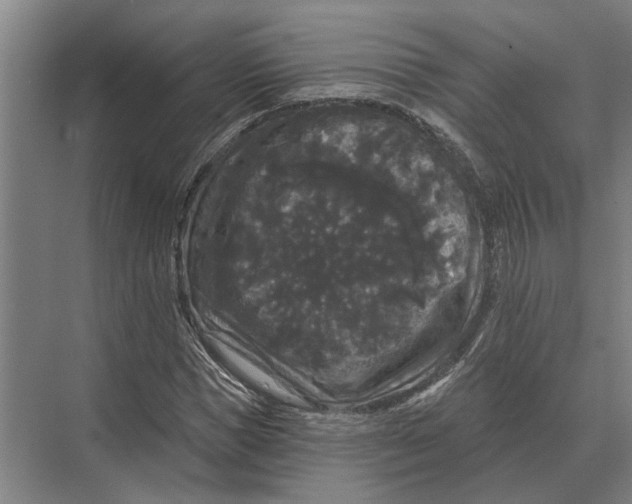 X0000074010921200609181830