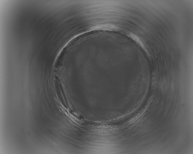 X0000074010923200609181830