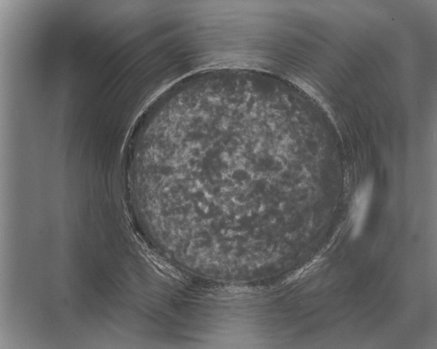 X0000074010925200609181830