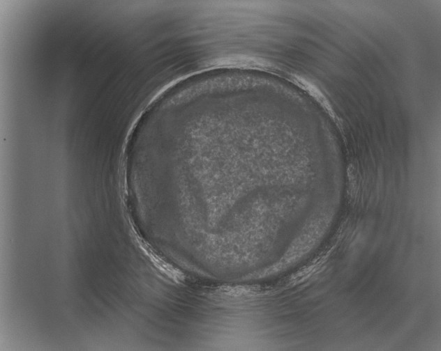 X0000074010931200609181830