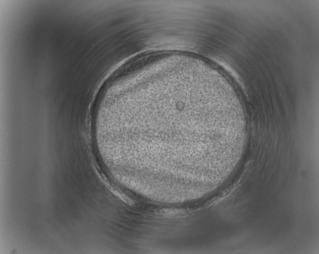 X0000074010933200609181830