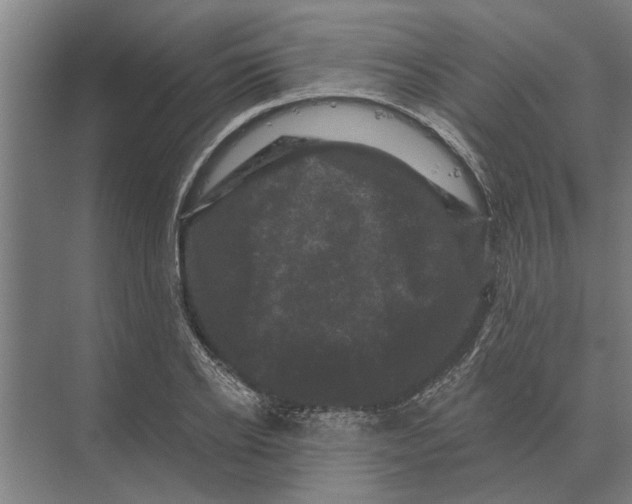 X0000074010934200609181830