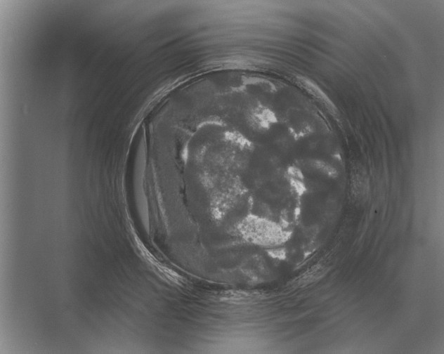 X0000074010938200609181830