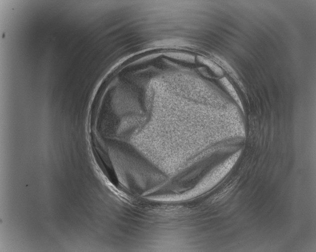 X0000074010939200609181830