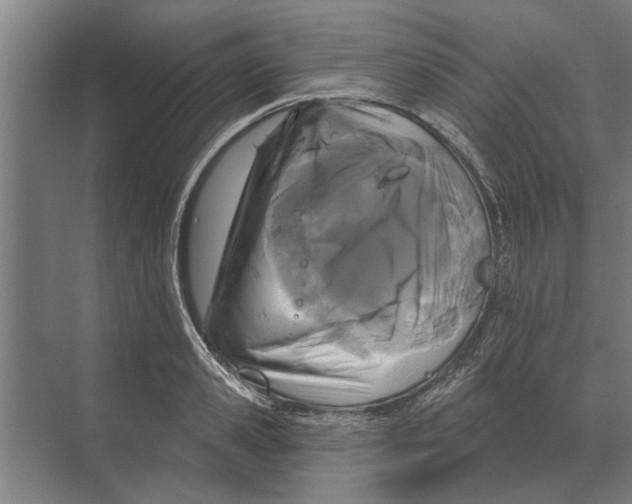 X0000074010941200609181830