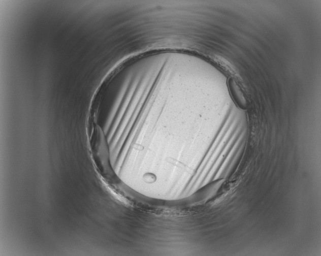 X0000074010942200609181830