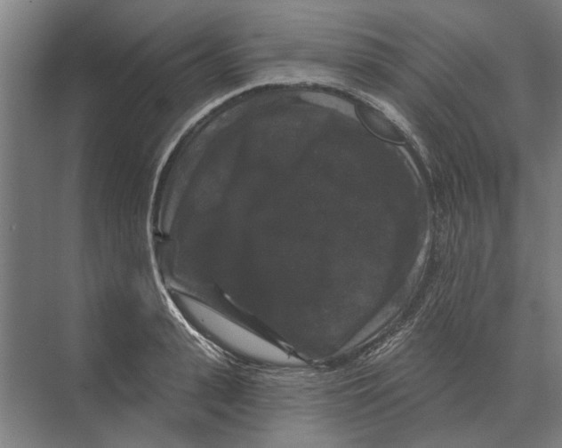 X0000074010943200609181830