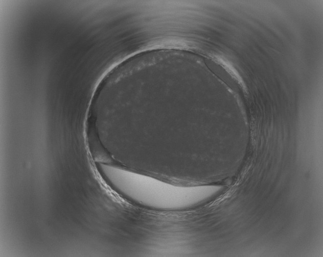 X0000074010944200609181830