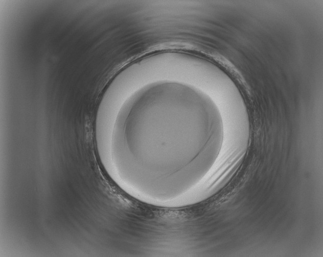 X0000074010945200609181831