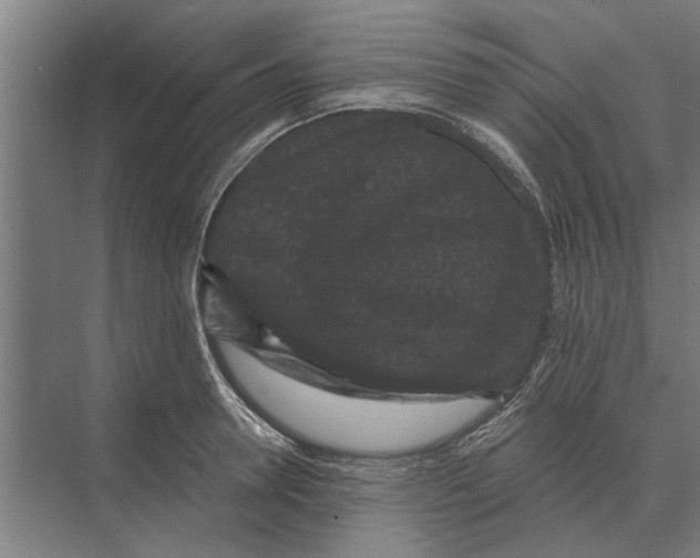 X0000074010946200609181831