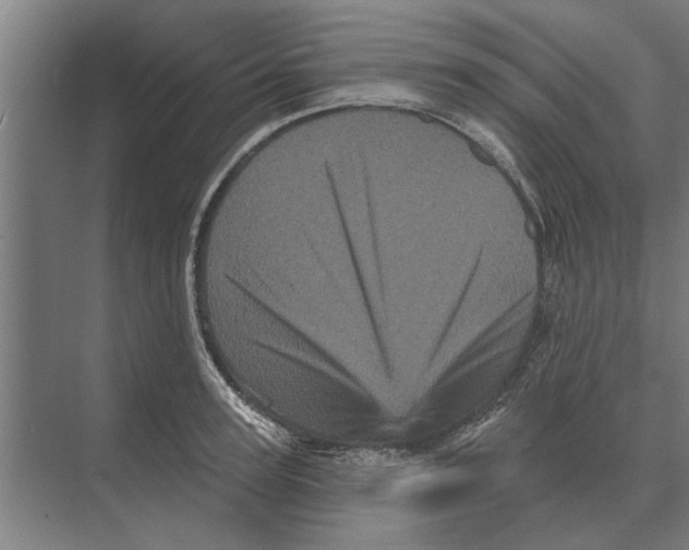 X0000074010947200609181831