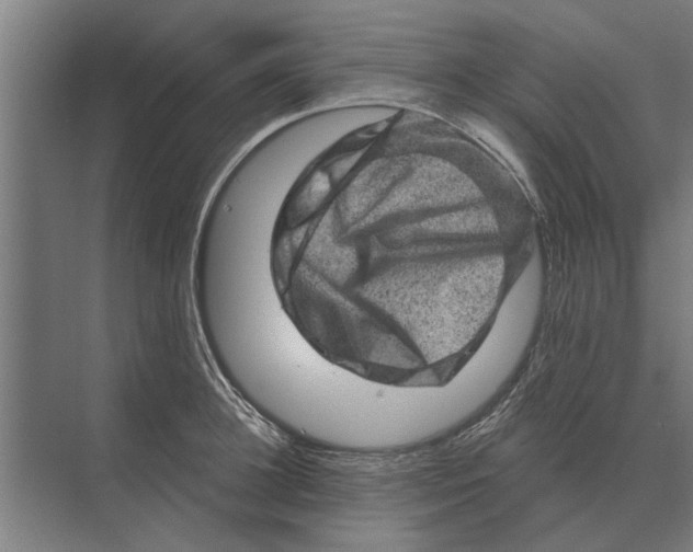 X0000074010948200609181831