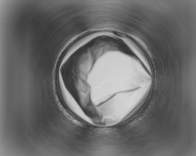 X0000074010949200609181831