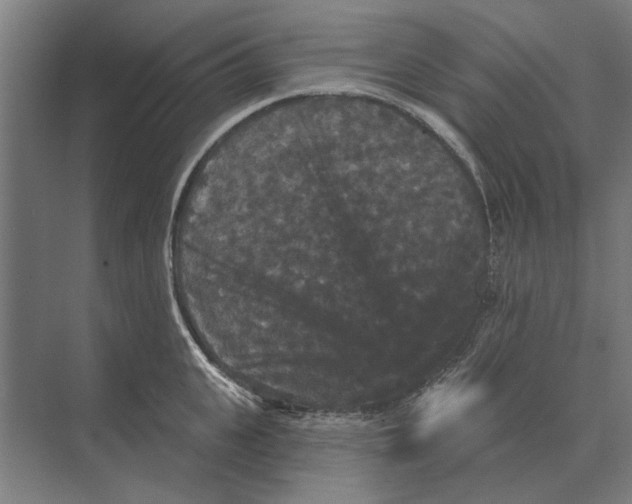 X0000074010951200609181831