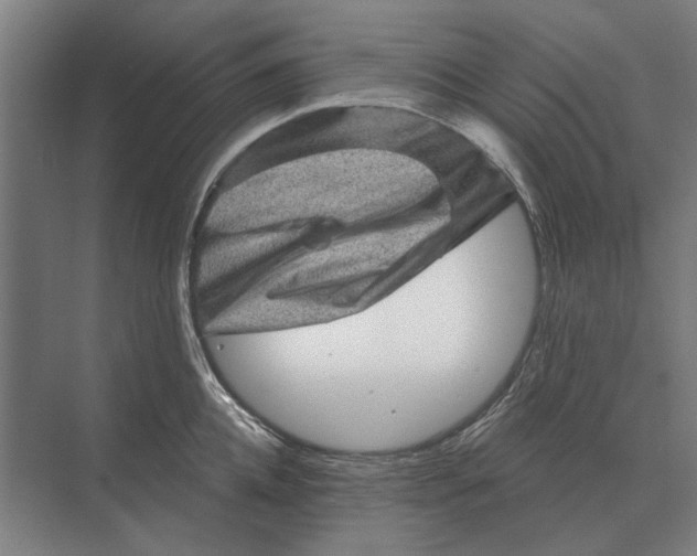 X0000074010952200609181831