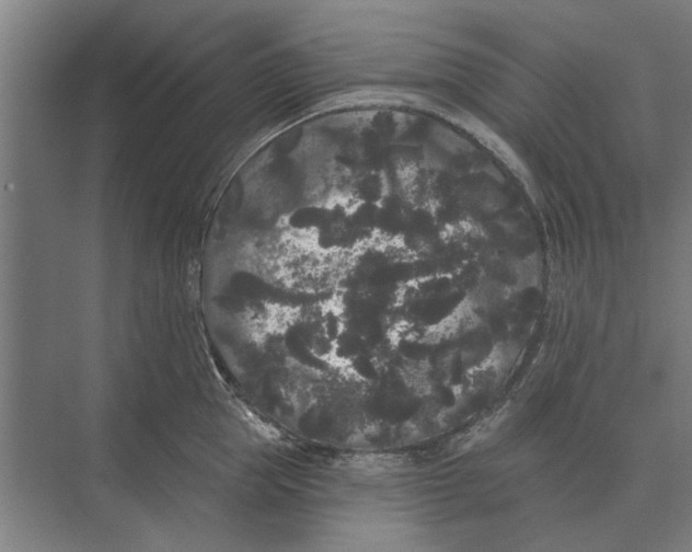 X0000074010953200609181831