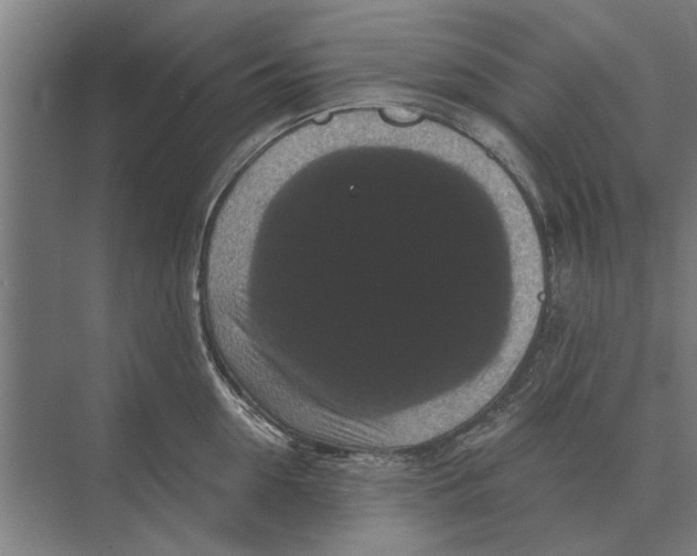 X0000074010954200609181831