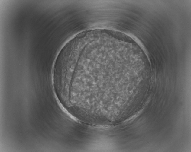 X0000074010957200609181831