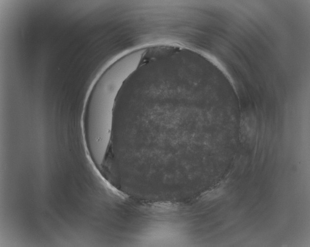 X0000074010959200609181831