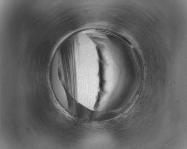 X0000074010960200609181831