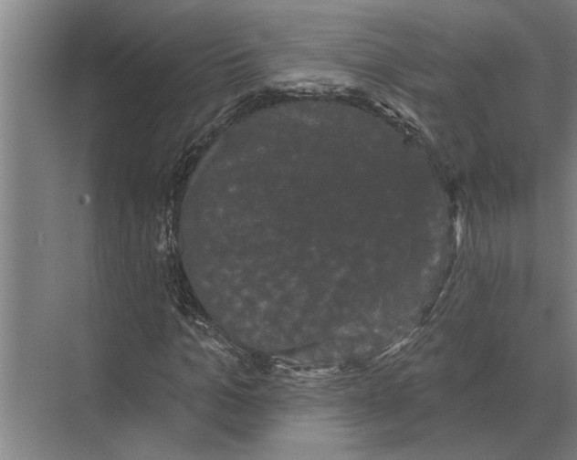 X0000074010965200609181830