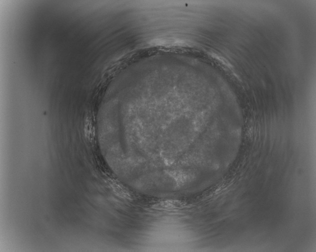 X0000074010966200609181830