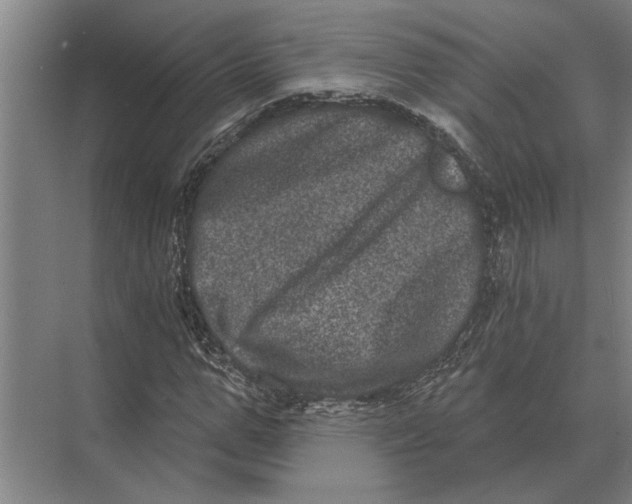 X0000074010967200609181830