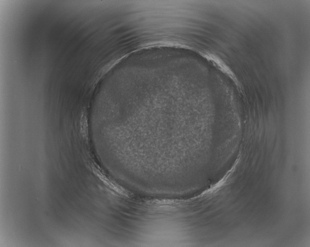 X0000074010969200609181830