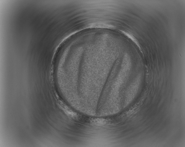 X0000074010971200609181830