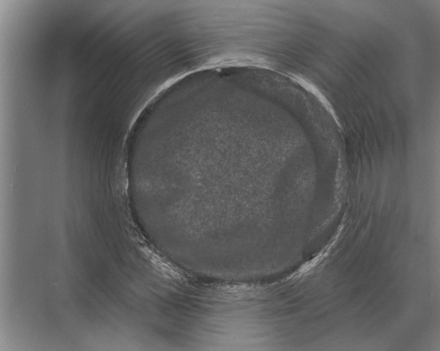 X0000074010973200609181830