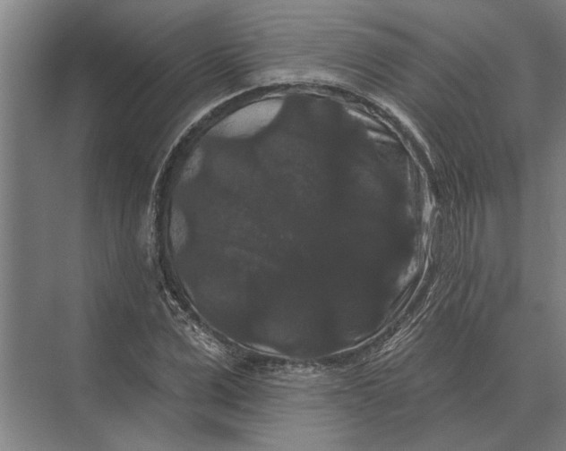 X0000074010975200609181830