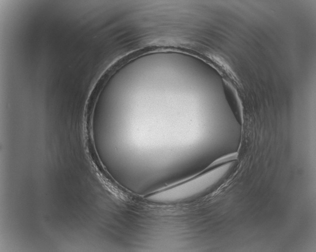 X0000074010976200609181830