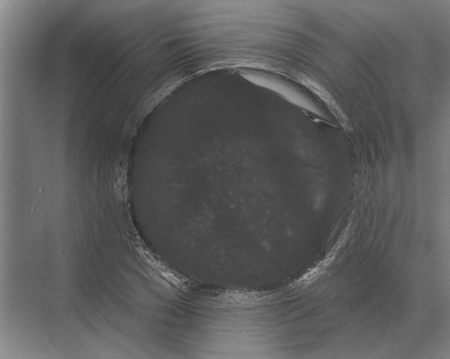 X0000074010977200609181830